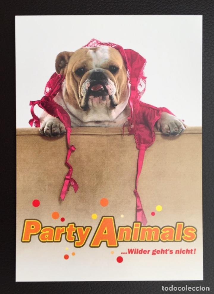 Postales: Flyer Tipo Tarjeta Postal PARTY ANIMALS - Foto 1