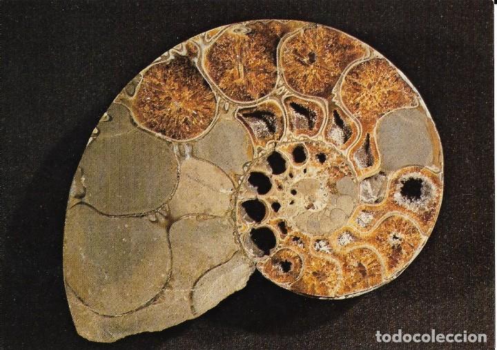 Postales: Postal &rdquo;Nautilius&rdquo;