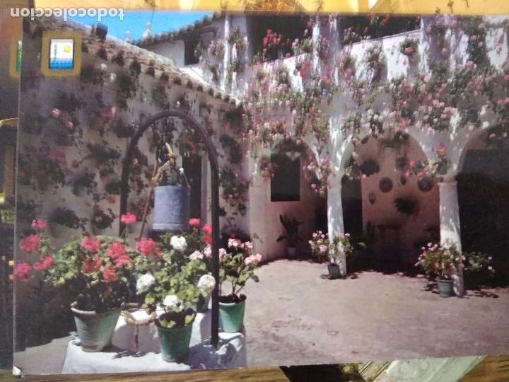 Cartes Postales: Postal n&ordm; 27 Costa del Sol t&iacute;pico patio andaluz. Ed Dominguez. Postal-1009