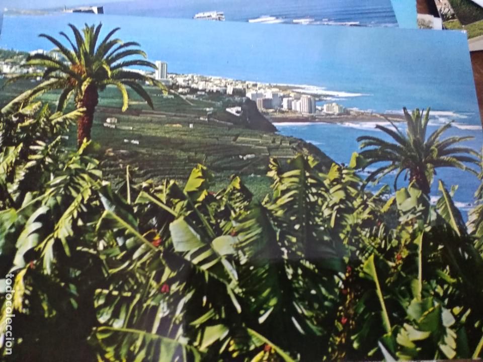 Postcards: Postal n&ordm; 394 Puerto de La Cruz Tenerife. Paisaje del Valle y plantaciones de bananas. Postal-A3