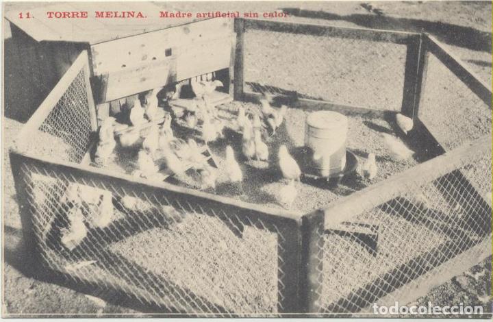 Postales: Postal. Torre Melina.- Madre Artificial sin calor - Foto 1