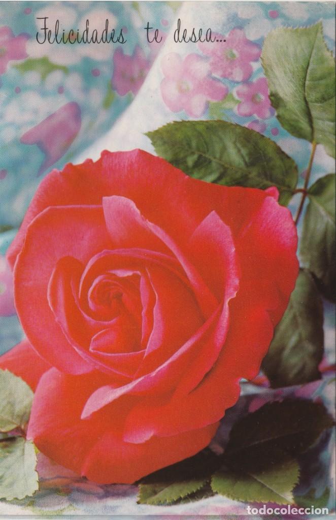 Postcards: POSTAL - DIPTICO - ROSAS - IMPRESO SOBRE CELOFAN - FASCINATING MEMORIES -E BEASCOA VER FOTO INTERIOR