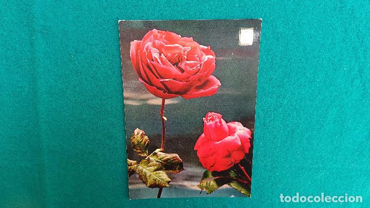Postales: POSTAL ROSAS ROJAS (1967) - Foto 1
