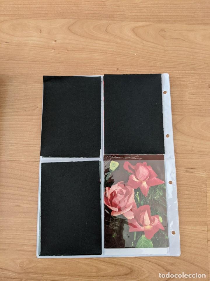 Postais: ANTIGUA POSTAL &laquo;ROSAS ROSADAS&raquo;