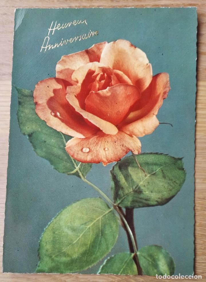 Postales: ROSA - Foto 1