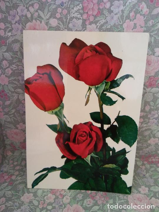 Cartes Postales: BONITA POSTAL. SENCILLA. CIRCULADA. FLORES