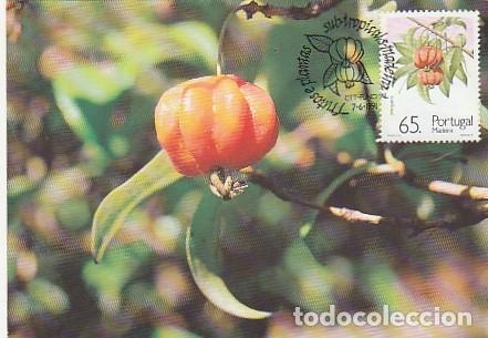 Postales: Portugal & Plantas y Frutos Subtropicales de Madeira, Pitanga, Eugenia uniflora Funchal 1991 (82)