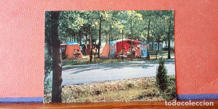 Postales: CAMPING S. FRANCESCO. BONITA POSTAL. CIRCULADA.