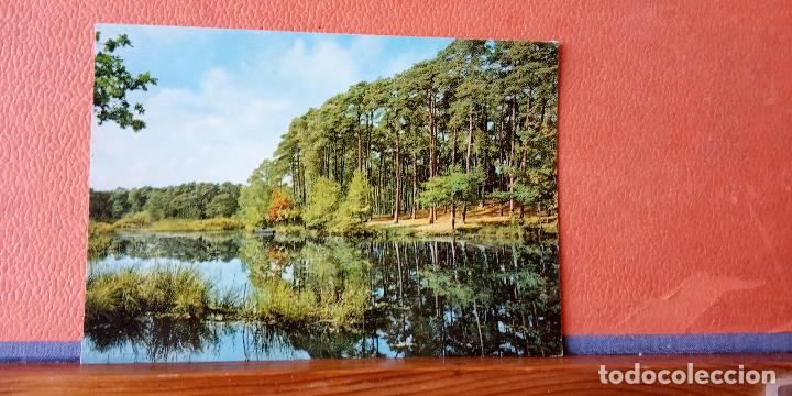 Postales: OISTERWIJK. BONITA POSTAL. CIRCULADA.