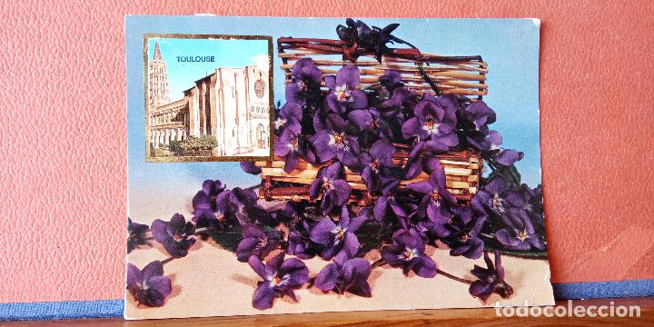 Postales: VIOLETTES DE TOULOUSE. BONITA POSTAL. CIRCULADA.