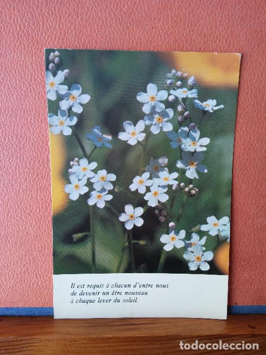 Postales: FLORES. BONITA POSTAL. CIRCULADA. - Foto 1