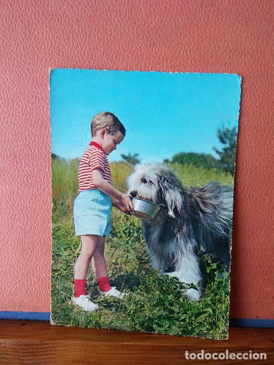Postales: NI&Ntilde;O Y EL PERRO. BONITA POSTAL. CIRCULADA. - Foto 1