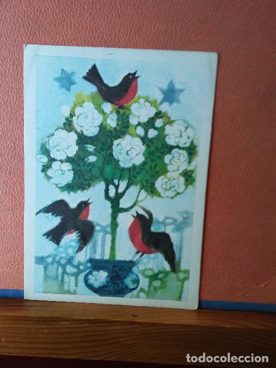 Postales: PAJAROS. BONITA POSTAL. CIRCULADA. - Foto 1