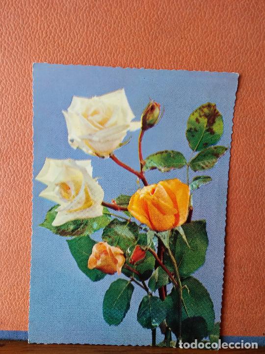 Postales: BONITAS ROSAS. BONITA POSTAL. CIRCULADA. - Foto 1