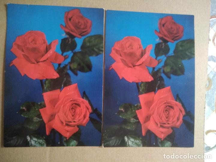 Cartoline: Lote de 2 antiguas postales flores