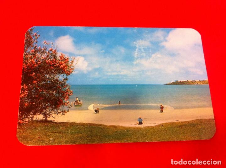 Cartes Postales: POSTAL. BERMUDA FISHERMEN NETTING SMALL FISH FOR BAIT AT DANIEL'S HEAD...POSTAL NO ESCRITA