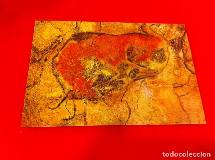 Postales: POSTAL. NO ESCRITA. CUEVAS DE ALTAMIRA. BISONTE