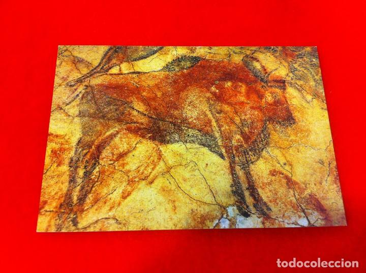 Postais: POSTAL. NO ESCRITA. CUEVAS DE ALTAMIRA. GRAN BISONTE