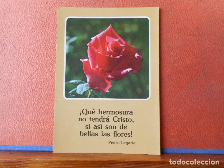 Postales: ROSA. BONITA POSTAL. NUEVA. - Foto 1