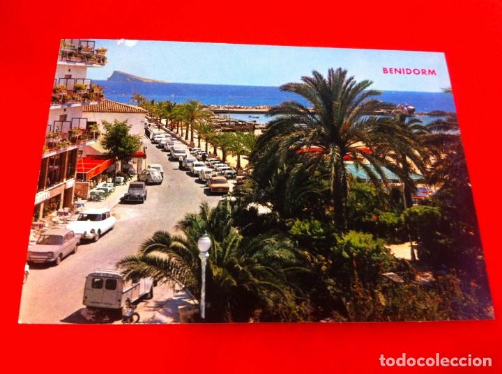 Postales: POSTAL NO ESCRITA. BENIDORM, PARQUE DE COL&Oacute;N - Foto 1
