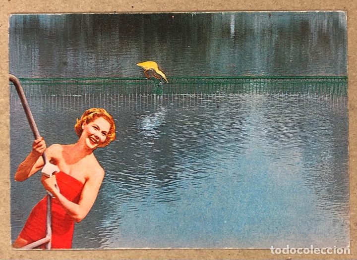 Postales: JAVIER SARR&Aacute; &ldquo;FLAMINGO&rdquo;. POSTAL SIN CIRCULAR EDICIONES CONTEMPOR&Aacute;NEAS 1984.