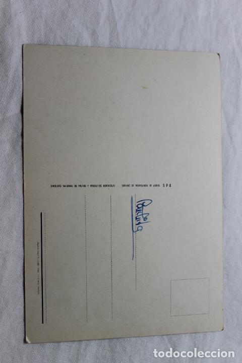 Postales: POSTAL NARANJAS ESPA&Ntilde;A - Foto 2