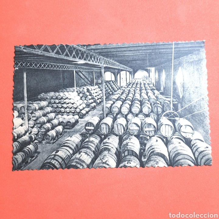 Postales: (ST.12) POSTAL NO CIRCULADA. CASA CODORNIU. N&deg;3 UNA BODEGA