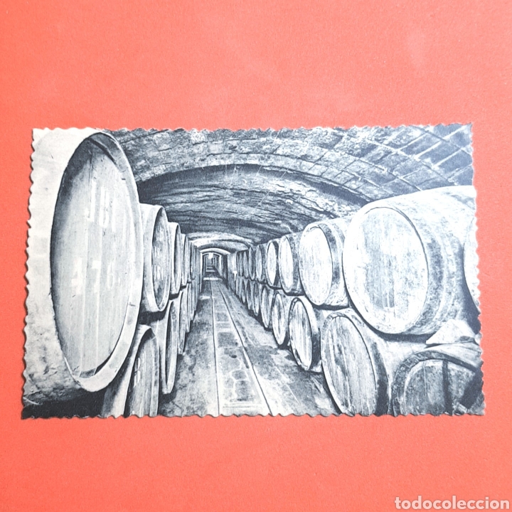 Postales: (ST.12) POSTAL NO CIRCULADA. CASA CODORNIU. N&deg;6 VINOS EN CRIANZA