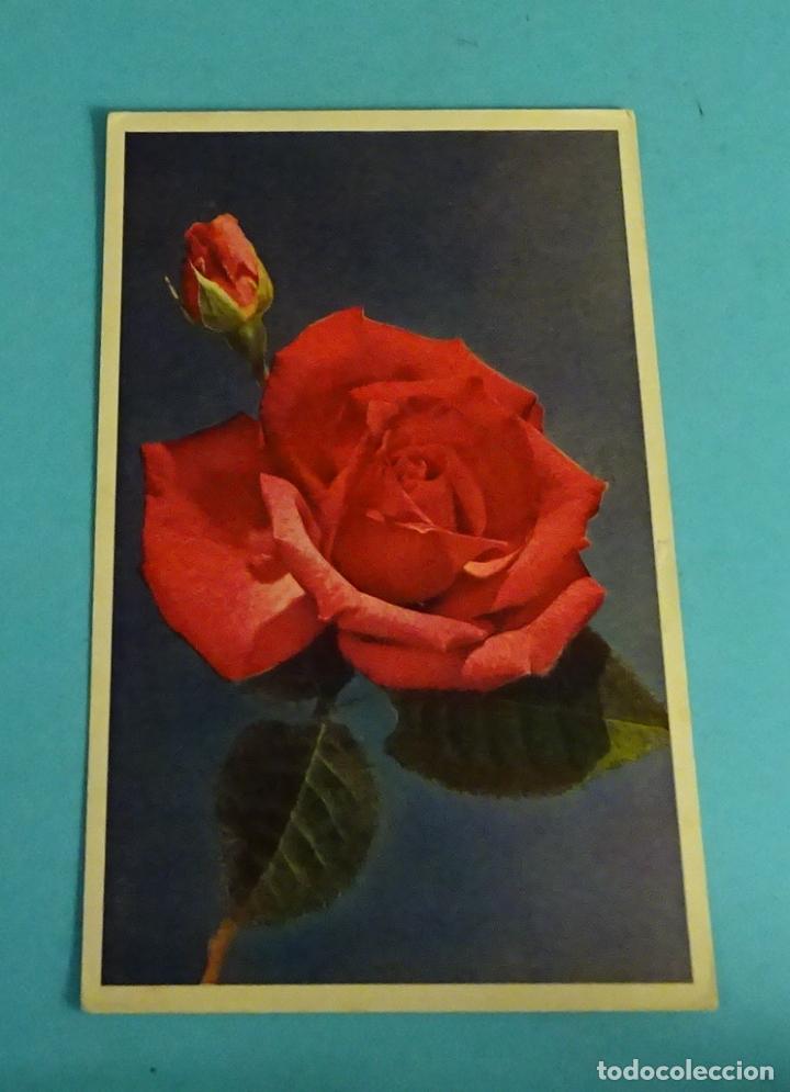 Postales: POSTAL ROSA. &Eacute;DITIONS SUPERLUXE - Foto 1
