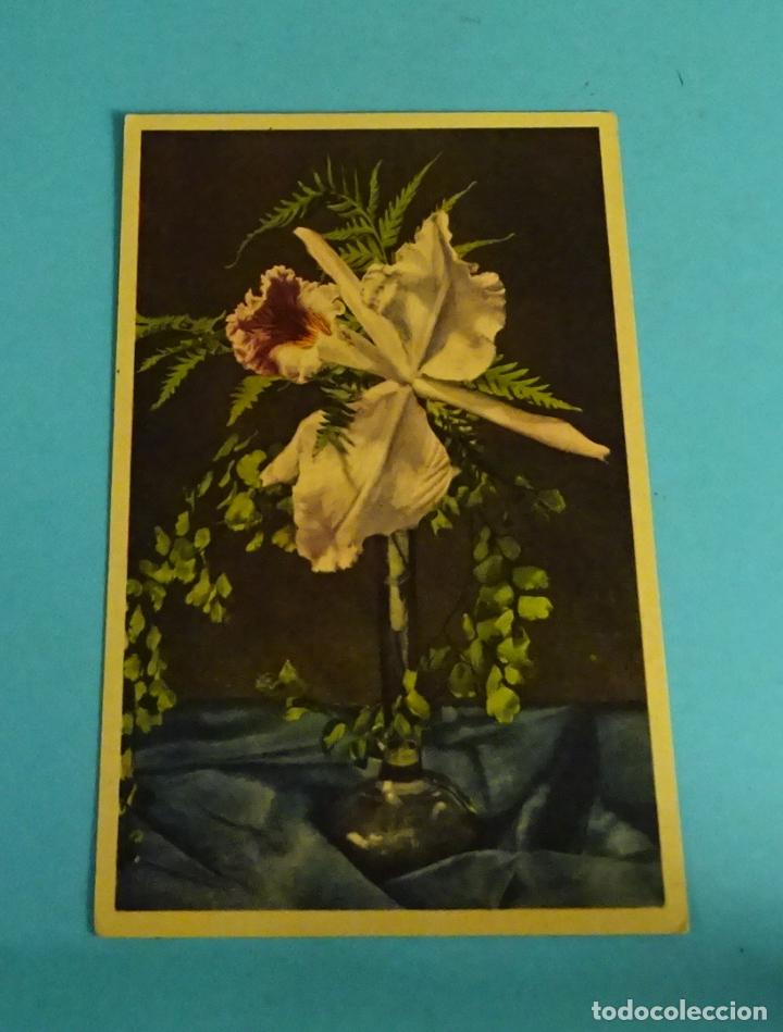 Postales: POSTAL ORQUIDEA. GYGER & KLOPFENSTEIN N&ordm; 418 - Foto 1