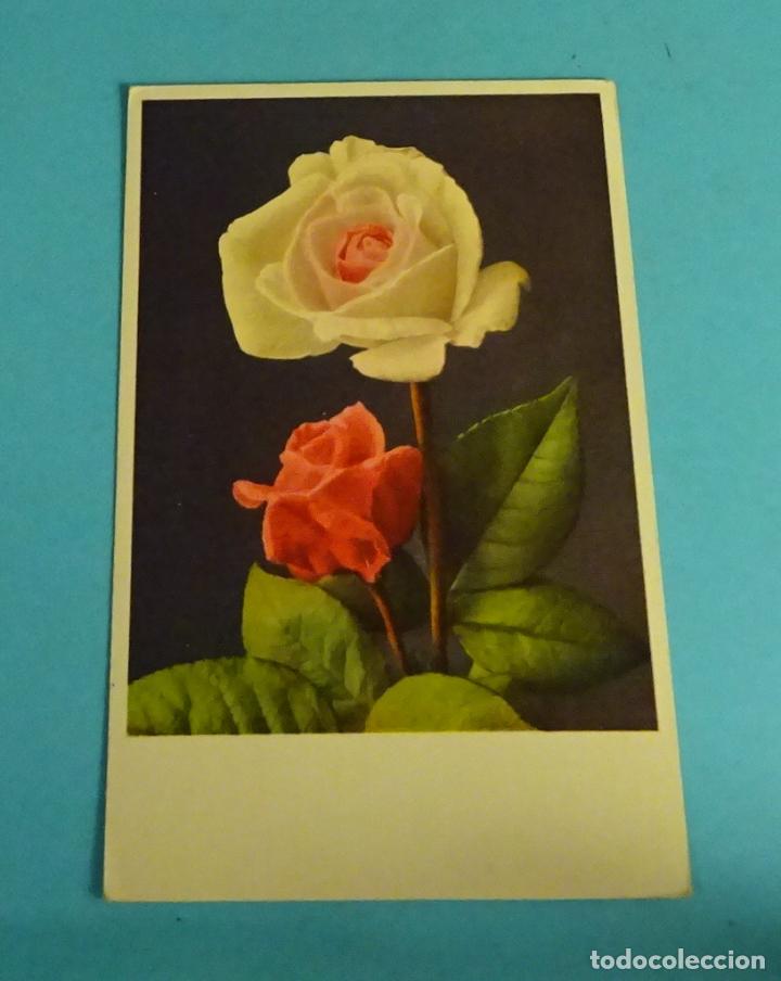 Postales: POSTAL ROSAS & KLOPFENSTEIN N&ordm; 1159 - Foto 1
