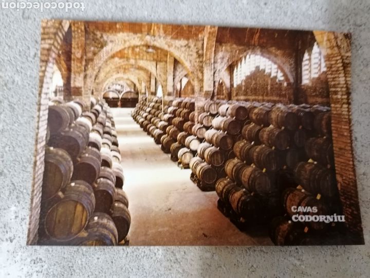 Postales: Lote 7 postales antiguas codorniu - Foto 2