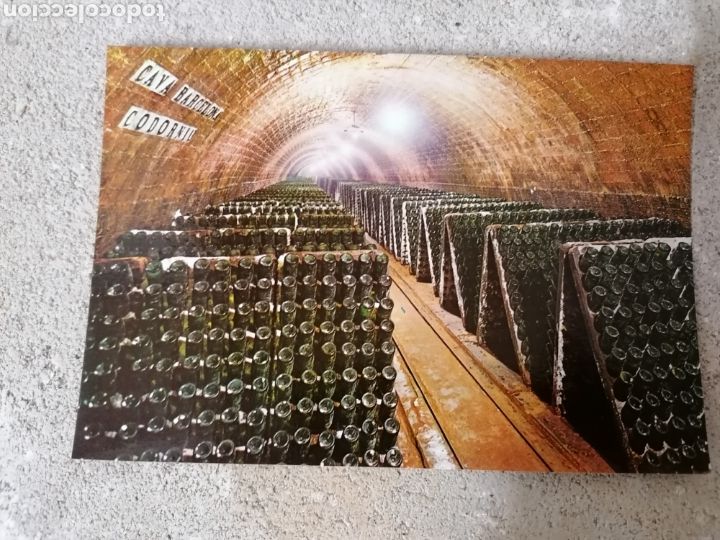 Postales: Lote 7 postales antiguas codorniu - Foto 4