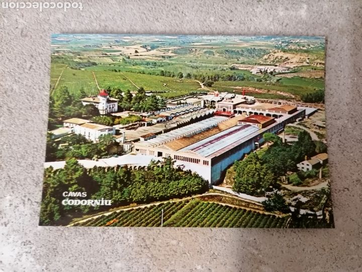 Postales: Lote 7 postales antiguas codorniu - Foto 7