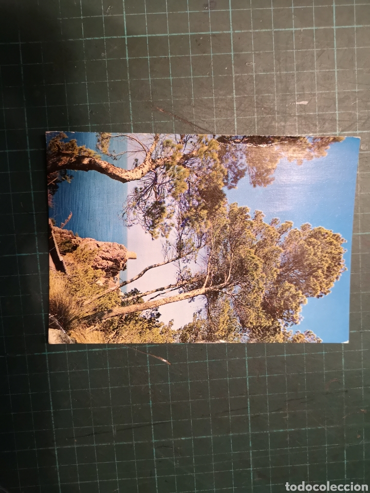 Postales: Postales paisajes 60s 70s - Foto 26