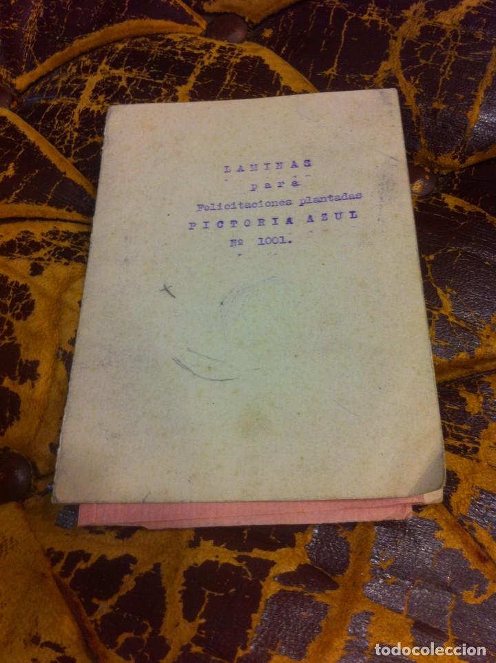 Postales: 4 L&Aacute;MINAS PARA FELICITACIONES PLANTADAS. PICTORIA AZUL N&ordm; 1001.