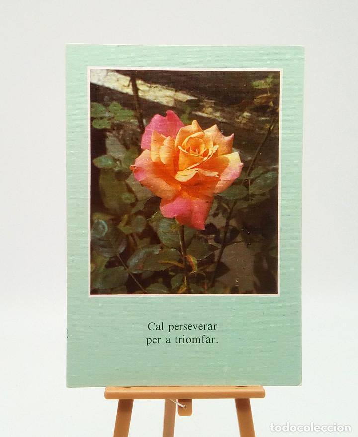 Postales: Postal 53 Tem&aacute;tica mensajes - Flor - Rosa - Foto 1