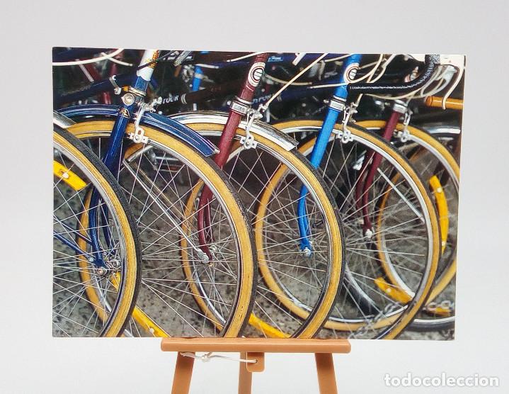 Postales: Postal 7503 Unicef - Bicicletas - Foto 1