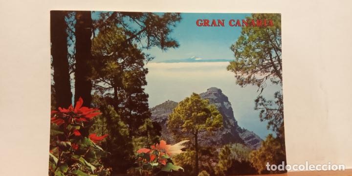 Postales: GRAN CANARIA. BONITA POSTAL. CIRCULADA - Foto 1