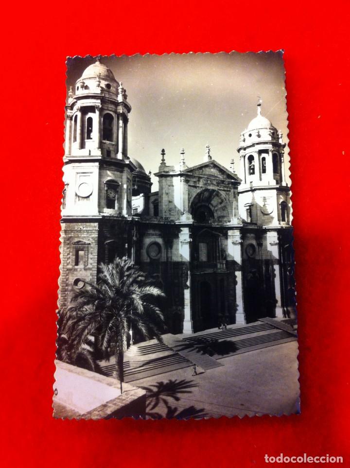 Postales: POSTAL. C&Aacute;DIZ. CATEDRAL. ESCRITA. EDICIONES SICILIA - Foto 1