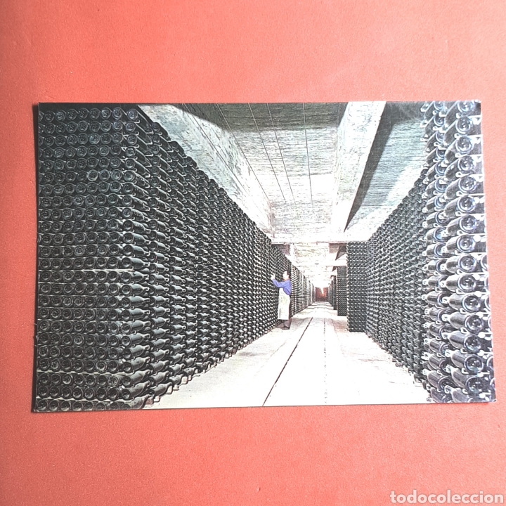 Postales: (RM.6) TARJETA POSTAL NO CIRCULADA. CAVAS CODORNIU