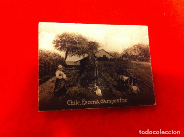 Cartes Postales: POSTAL. &Aacute;LBUM ESPA&Ntilde;A Y LA AM&Eacute;RICA LATINA. HENRY CLAY... CHILE. ESCENA CAMPESTRE. N&ordm; 1980