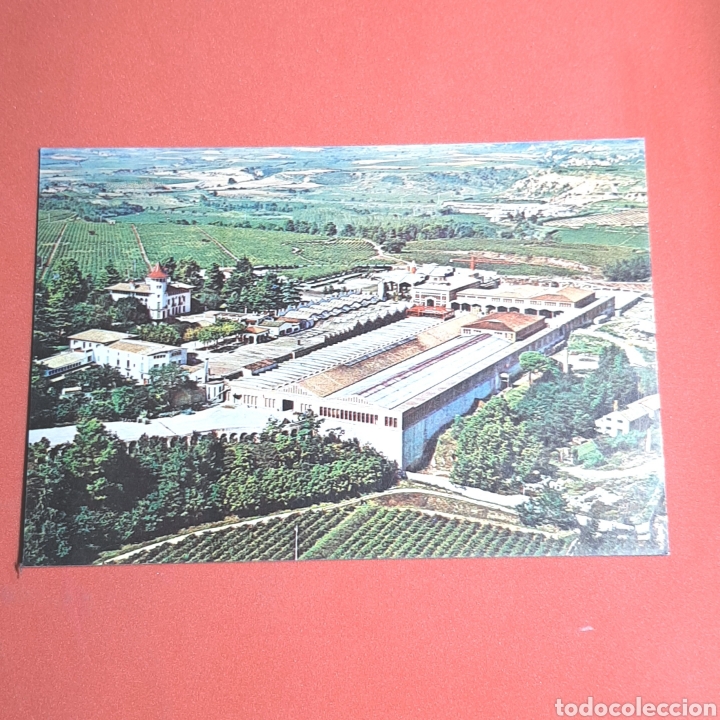 Postales: (MTO.10) TARJETA POSTAL NO CIRCULADA. CAVAS CODORNIU