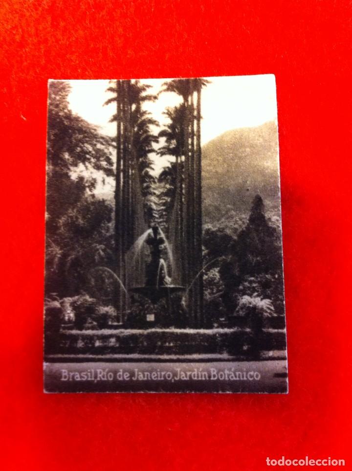 Cartes Postales: MINI POSTAL. &Aacute;LBUM ESPA&Ntilde;A Y LA AM&Eacute;RICA LATINA. BRASIL. R&Iacute;O DE JANEIRO. BOT&Aacute;NICO. N&ordm; 1916