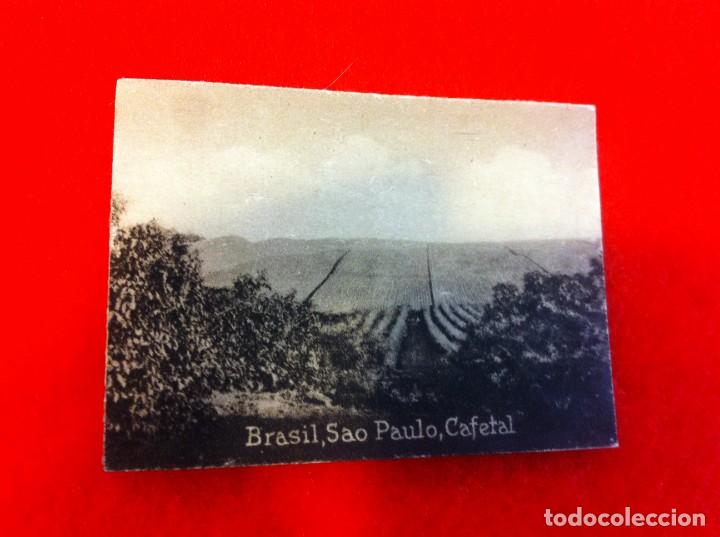 Cartes Postales: MINI POSTAL. &Aacute;LBUM ESPA&Ntilde;A Y LA AM&Eacute;RICA LATINA. BRASIL. SAO PAULO. CAFETAL. N&ordm; 1942