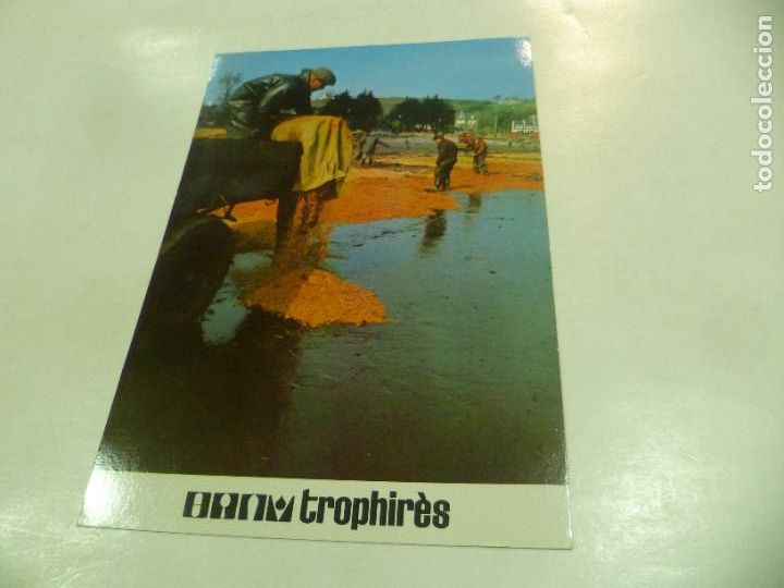 Postales: Postal Trophires: - Foto 1