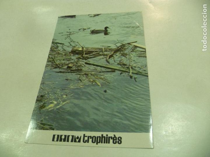 Postales: Postal Trophires: - Foto 1