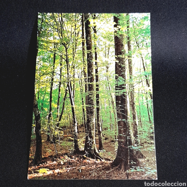 Postales: (HPM.1) TARJETA POSTAL NO CIRCULADA. OLOT - Foto 1