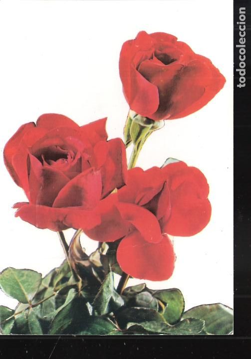Postkarten: Rosas rojas. Fechada en 1970.