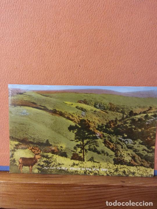 Cartoline: PAISAJE. BONITA POSTAL. CIRCULADA.